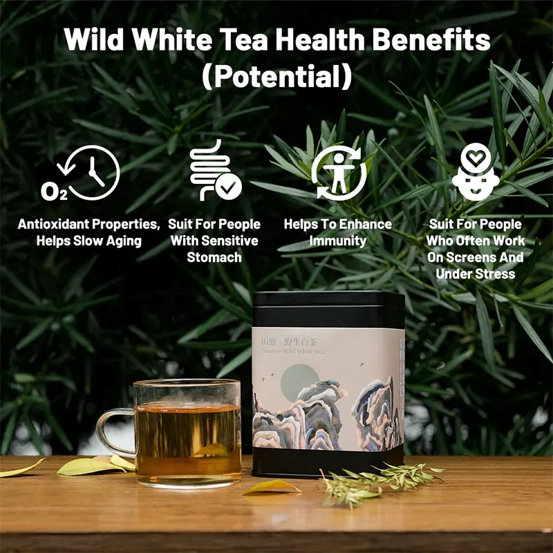 Wild Gongmei White Tea - Image 9