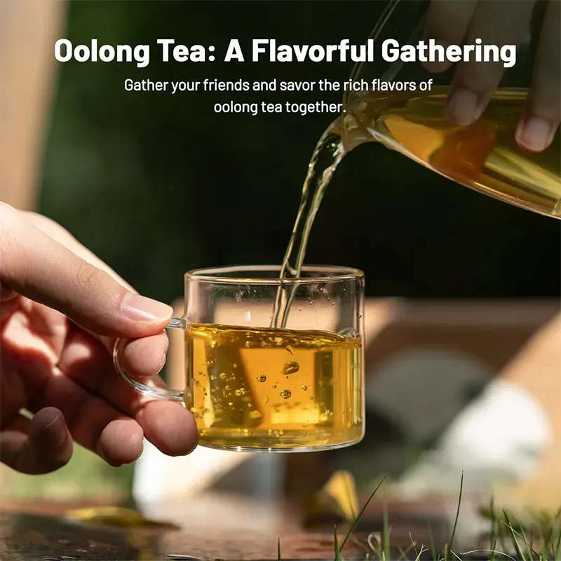 Premium Oolong Tea Collection - Image 5