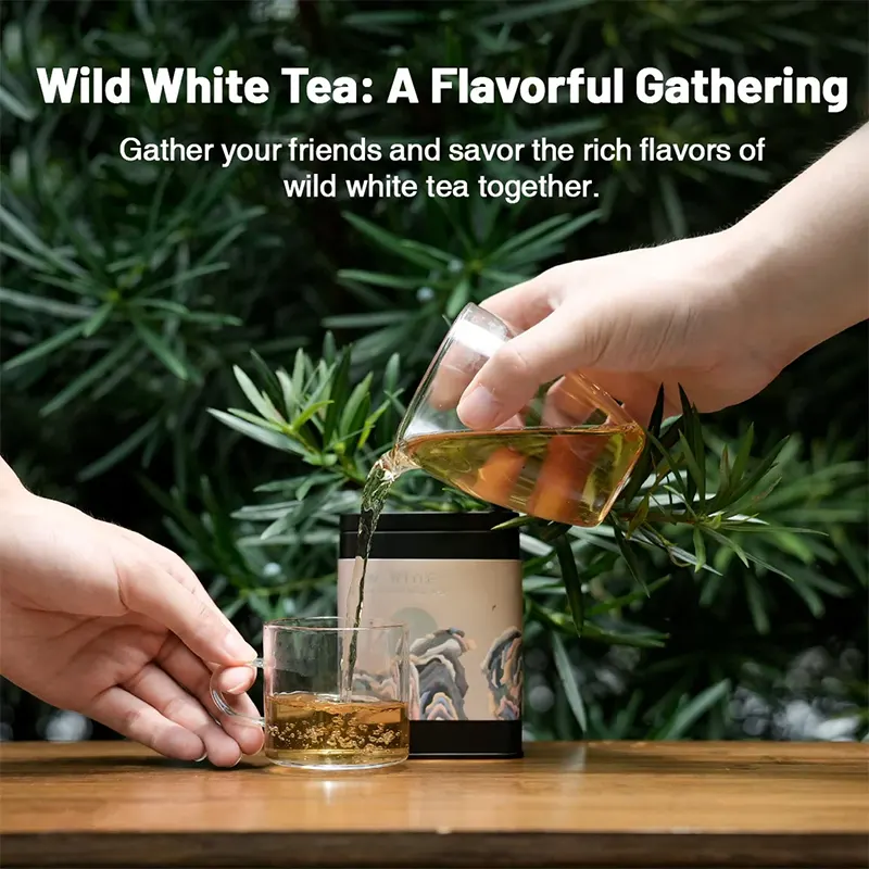 Wild Gongmei White Tea - Image 8